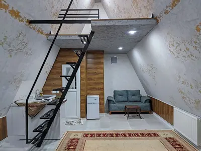 کلبه یک خوابه سوئیسی فرخی