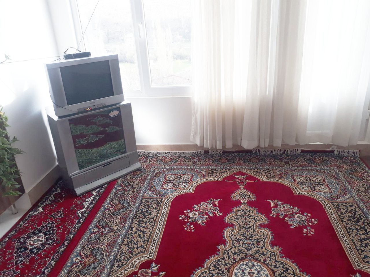 فلت تنگه واشی