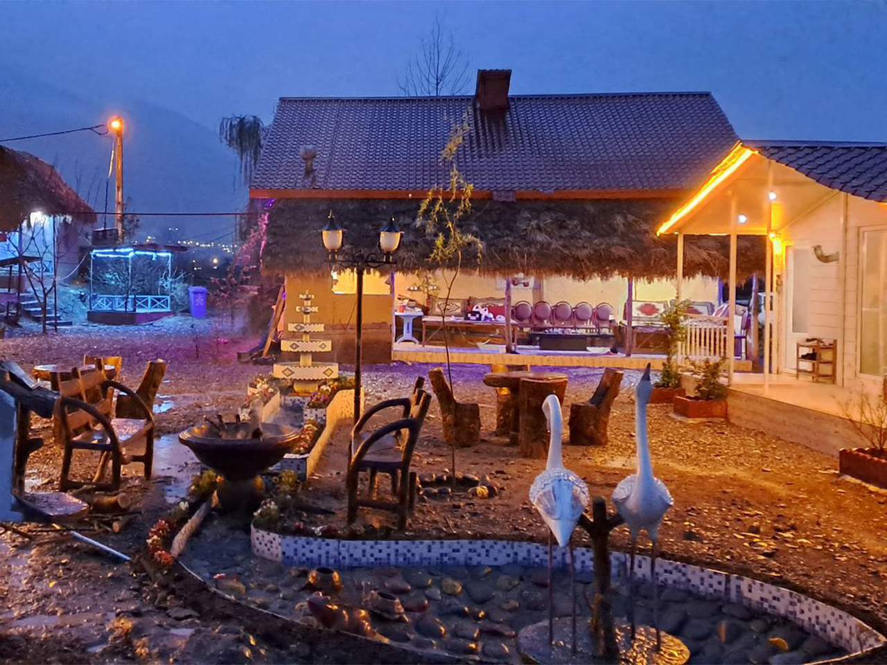 جام مارلیک - واحد گل پامچال