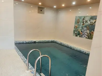 کلبه یک خوابه استخردار سوئیسی سر‌و