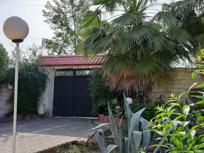 سوئیت فلت جنگلی آمال