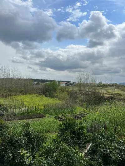 ویلا یک خوابه پدرام