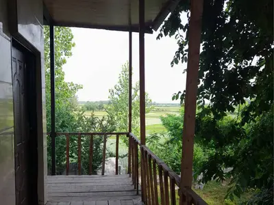 سوئیت فلت فدایی 11