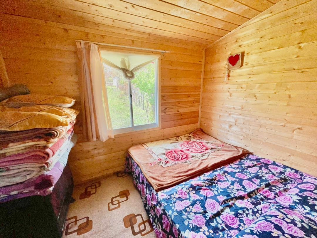 کلبه یک خوابه بام‌ سبز 1