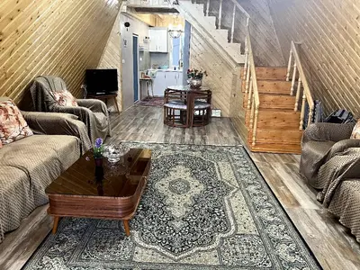 کلبه یک خوابه سوئیسی علی