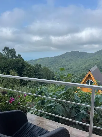 آپارتمان یک خوابه جنگلی ارغوان