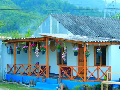 کلبه یک خوابه تختعلی