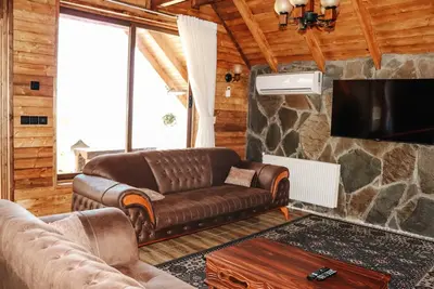 کلبه دوخوابه جنگلی چوبی صنوبر