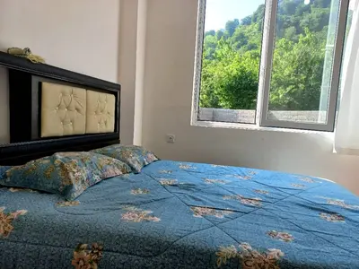 ویلا دوخوابه جنگلی امیر 2