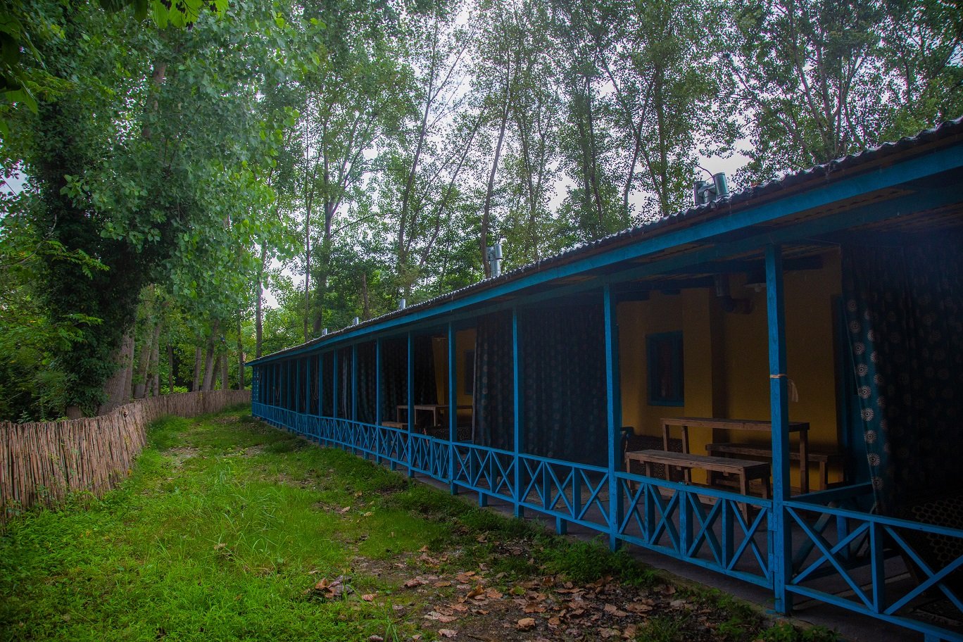 امی وی جا - واحد شباهنگام