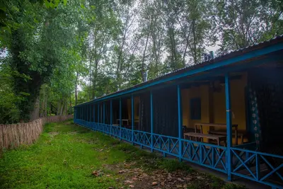 بومگردی امی وی جا - واحد شباهنگام