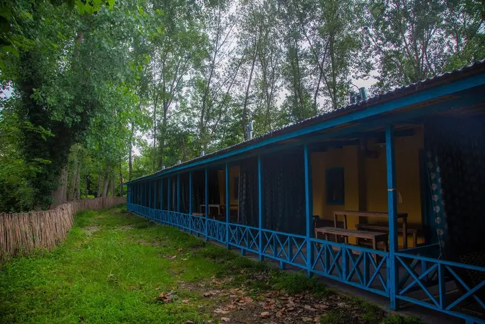 بوم گردی امی وی جا - واحد شباهنگام