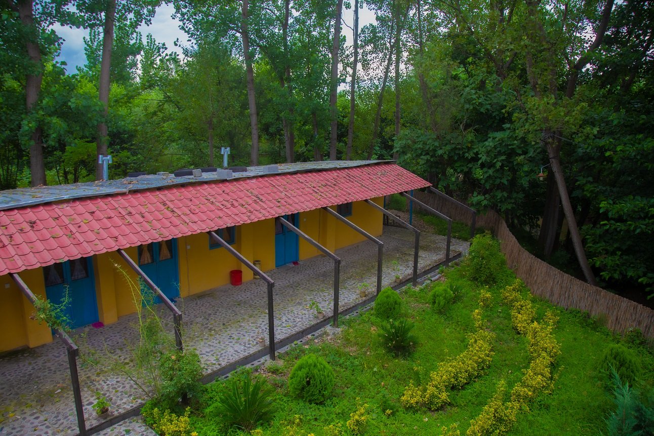 امی وی جا - واحد جان فزا