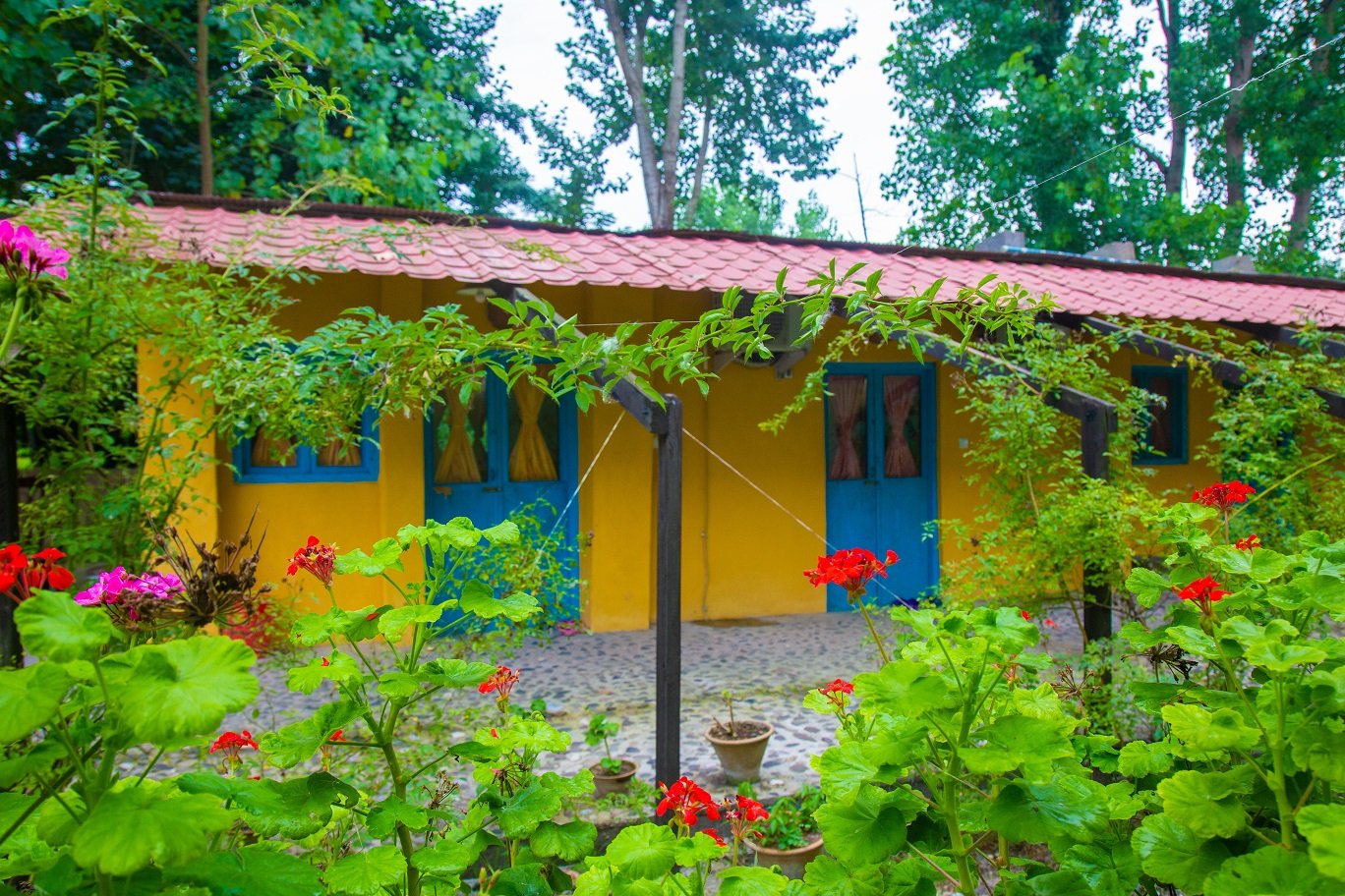 امی وی جا - واحد جگرگوشه