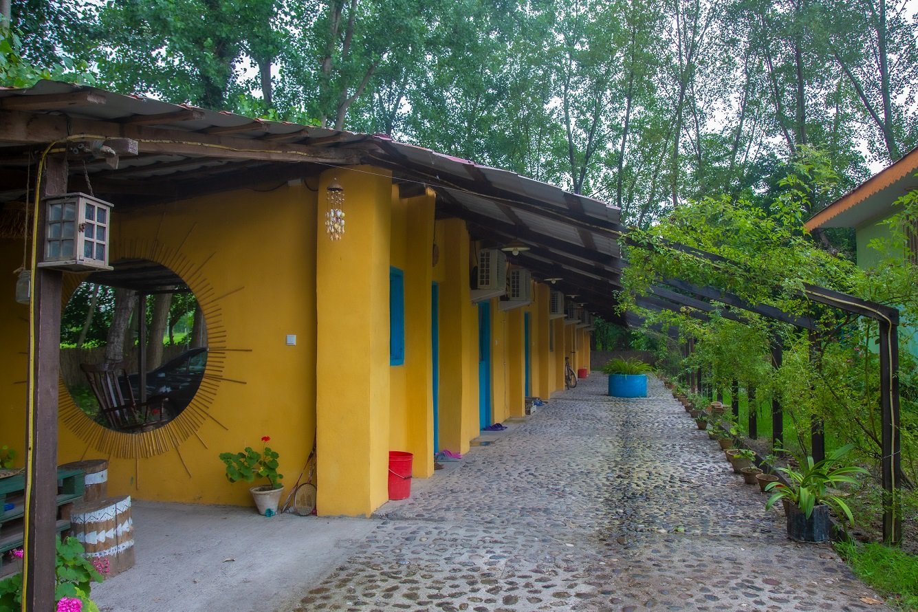 امی وی جا - واحد دست افشان