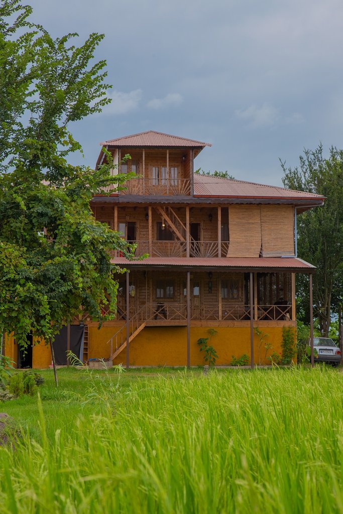 تی شین - واحد ویژه 2