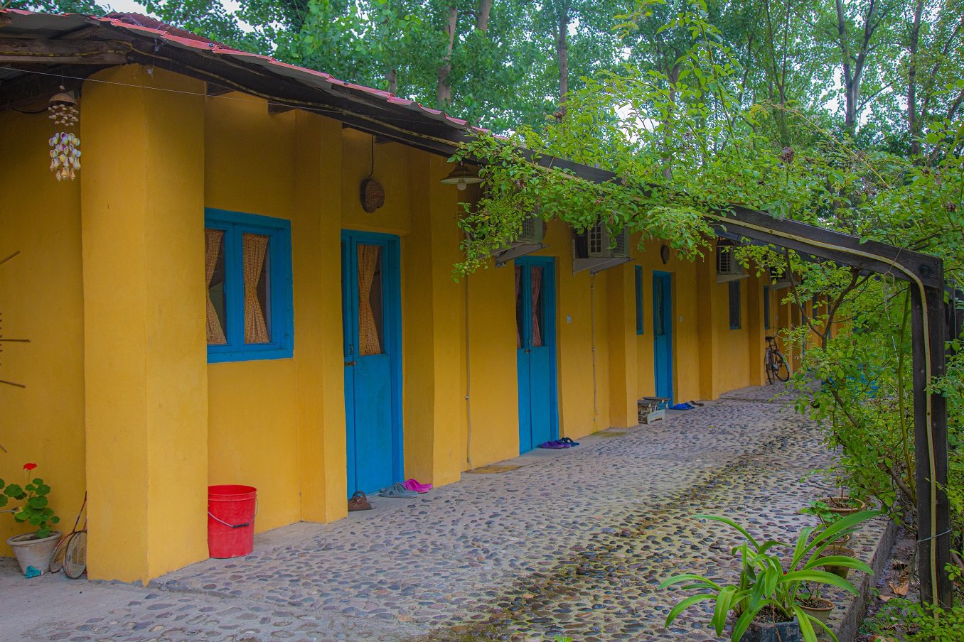 امی وی جا - واحد دلربا