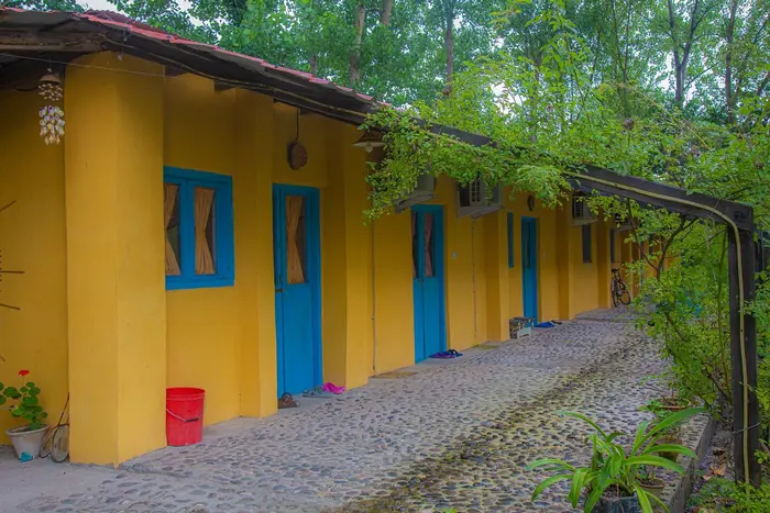 بوم گردی امی وی جا - واحد دلربا