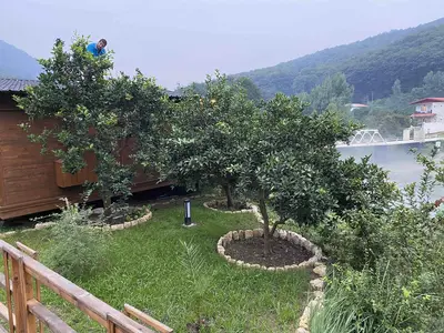 کلبه یک خوابه  دوبلكس آرتينا 2