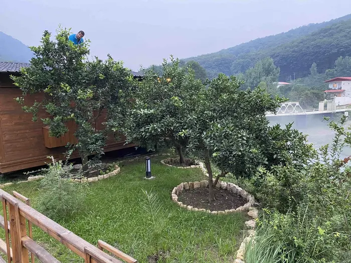 کلبه یک خوابه  دوبلكس آرتينا 2