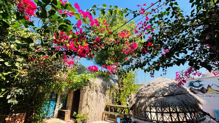 جمول - واحد 4 لنچ