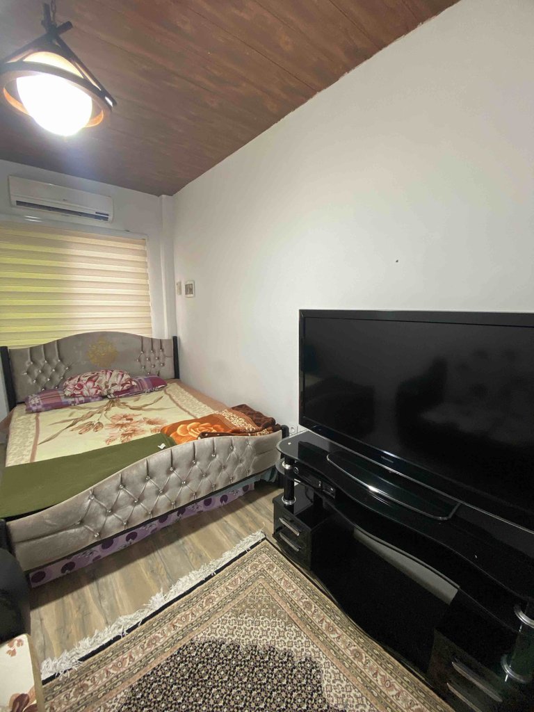 سوئیت فلت جنگلی آزادگان