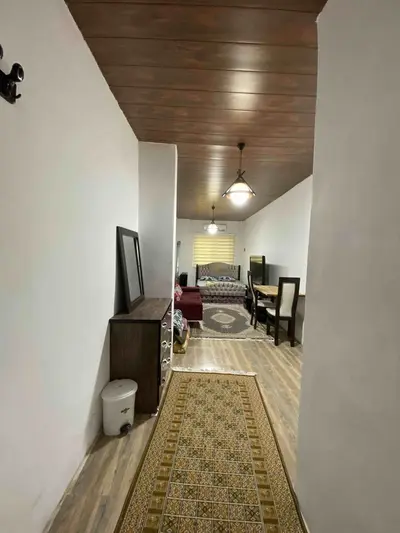 سوئیت فلت جنگلی آزادگان