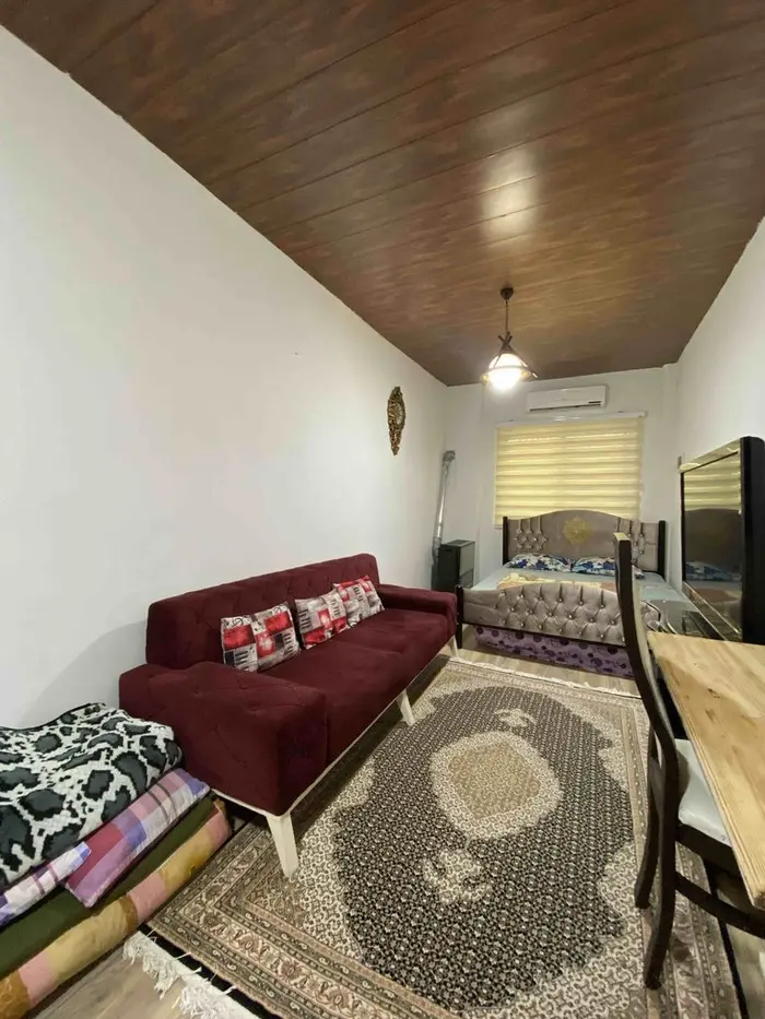 سوئیت فلت جنگلی آزادگان