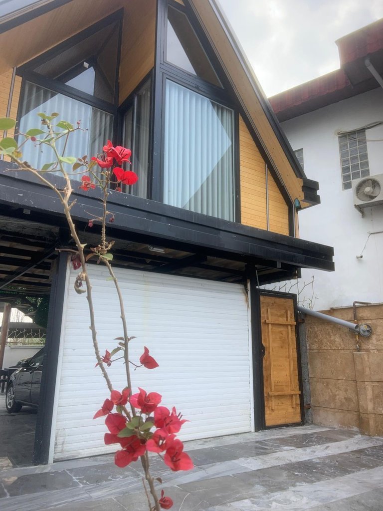 یک خوابه جنگلی شمع ساحل