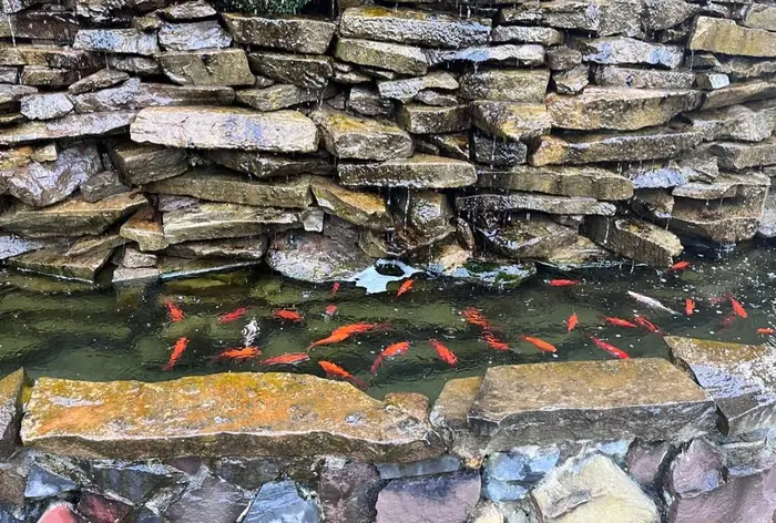 مجتمع اقامتگاهی نارنج سرا - واحد ۲۰۲