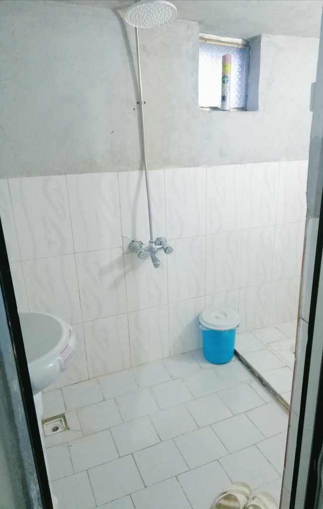 کلبه یک خوابه داج لیری