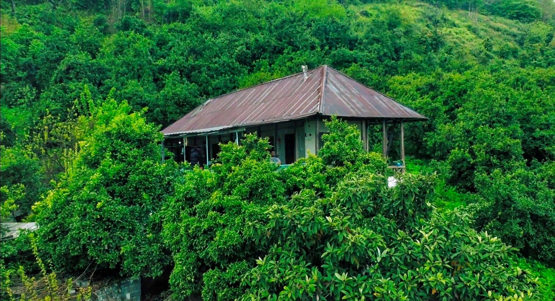 کلبه سه خوابه ماندگار - نمای کلی 