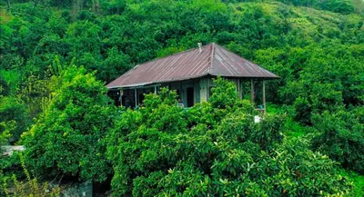 کلبه سه خوابه ماندگار