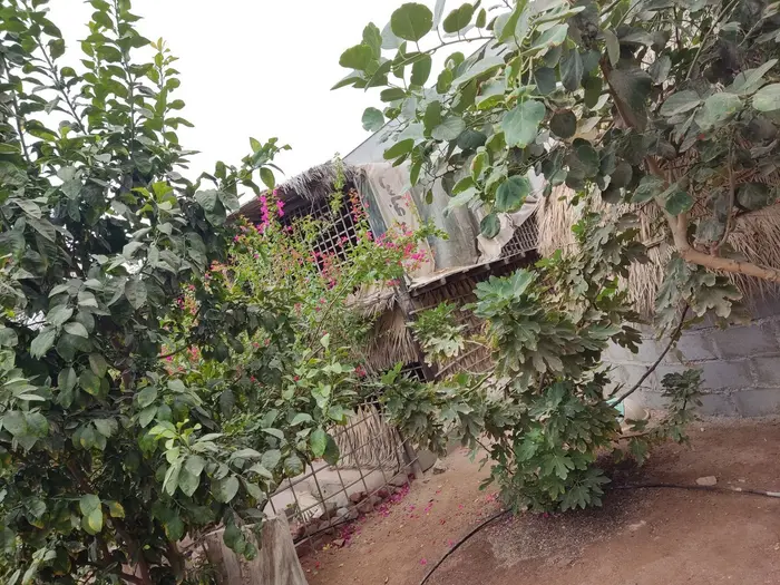 سلیدون - واحد عمو سلیدون