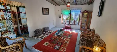 کلبه یک خوابه همیشه بهار