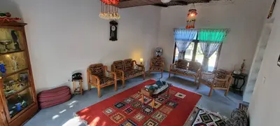 کلبه یک خوابه همیشه بهار