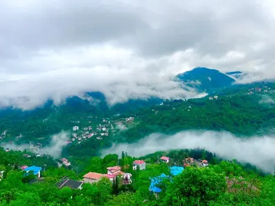 سوئیت یک خوابه جنگلی صادقی