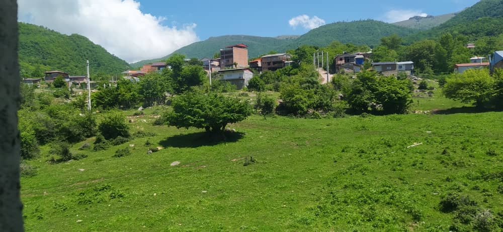 یک خوابه جنگلی زرجو