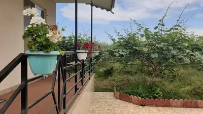 سوئیت فلت اشکان