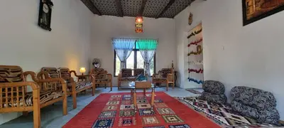 کلبه یک خوابه همیشه بهار