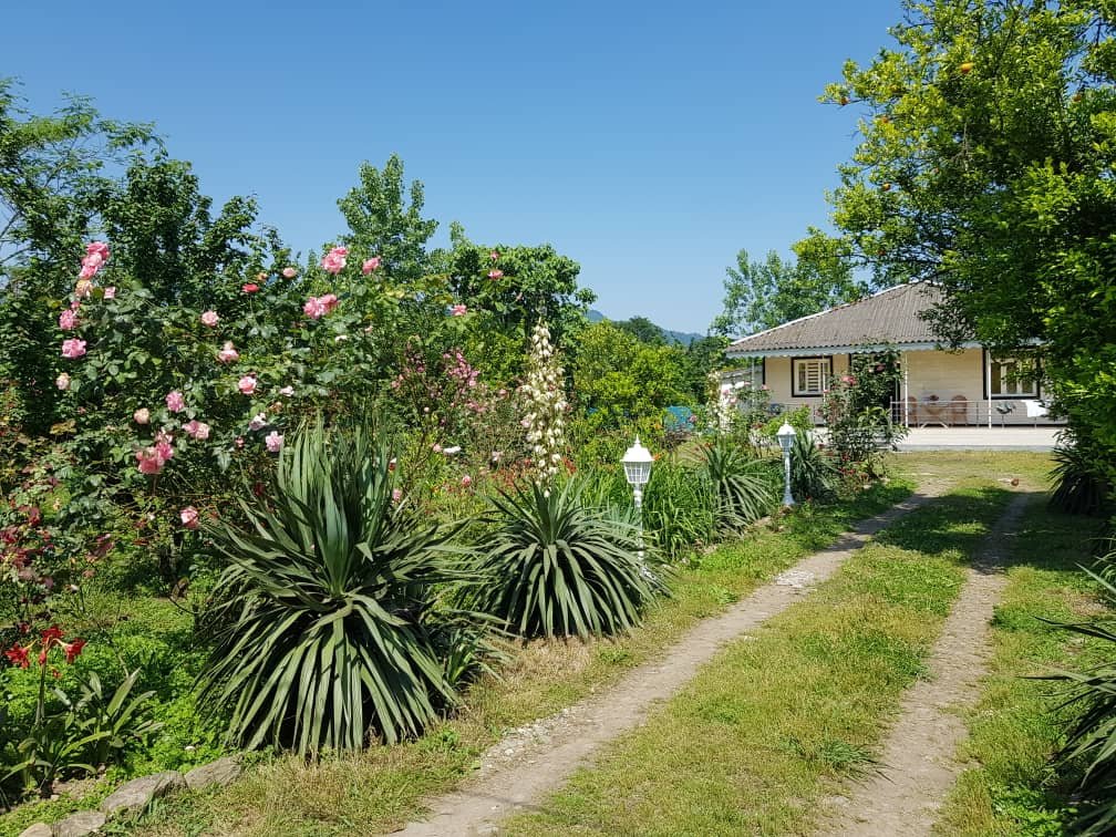 دوخوابه کوهیار