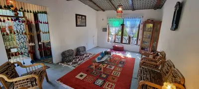 کلبه یک خوابه همیشه بهار