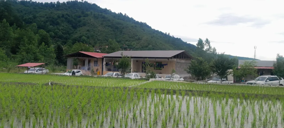 ویلا دوخوابه جنگلی قصر