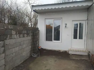 سوئیت فلت مرداب