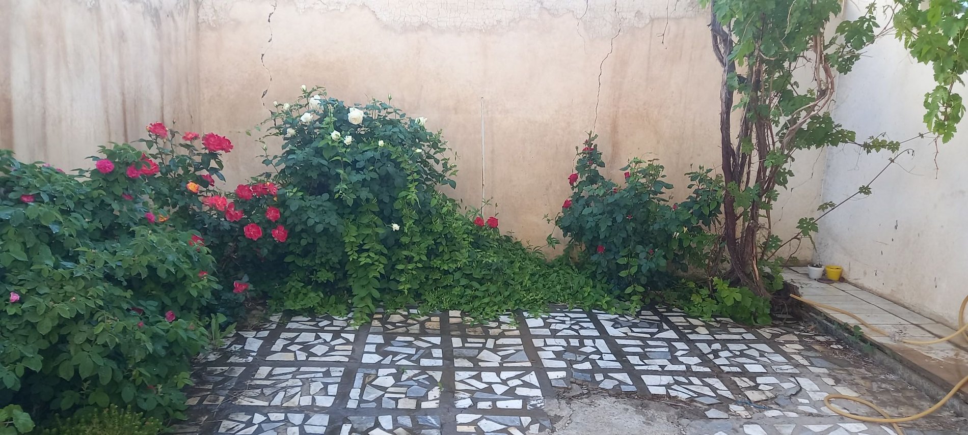 آپارتمان دوخوابه فواد