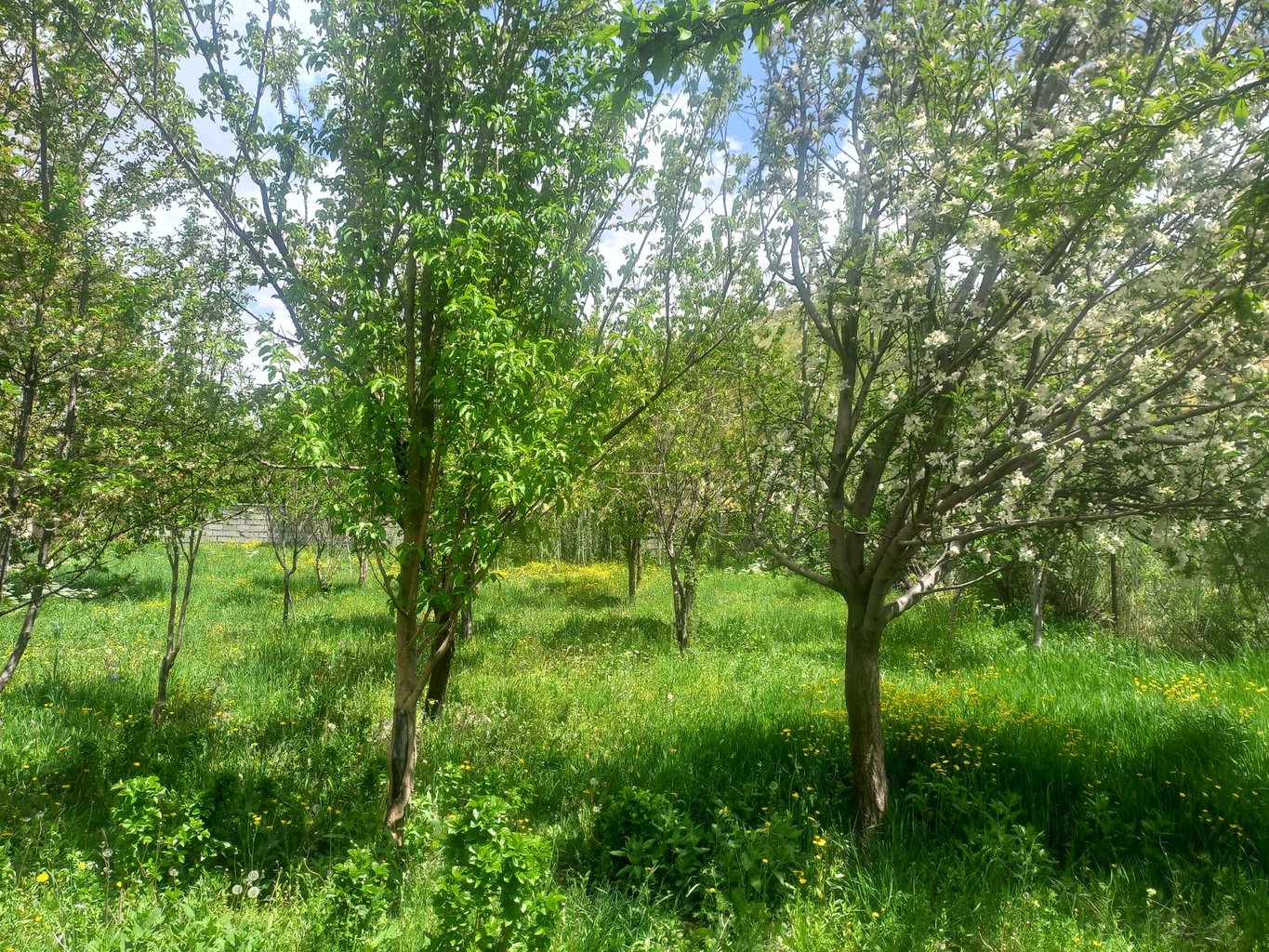 دوخوابه شیک نشینان