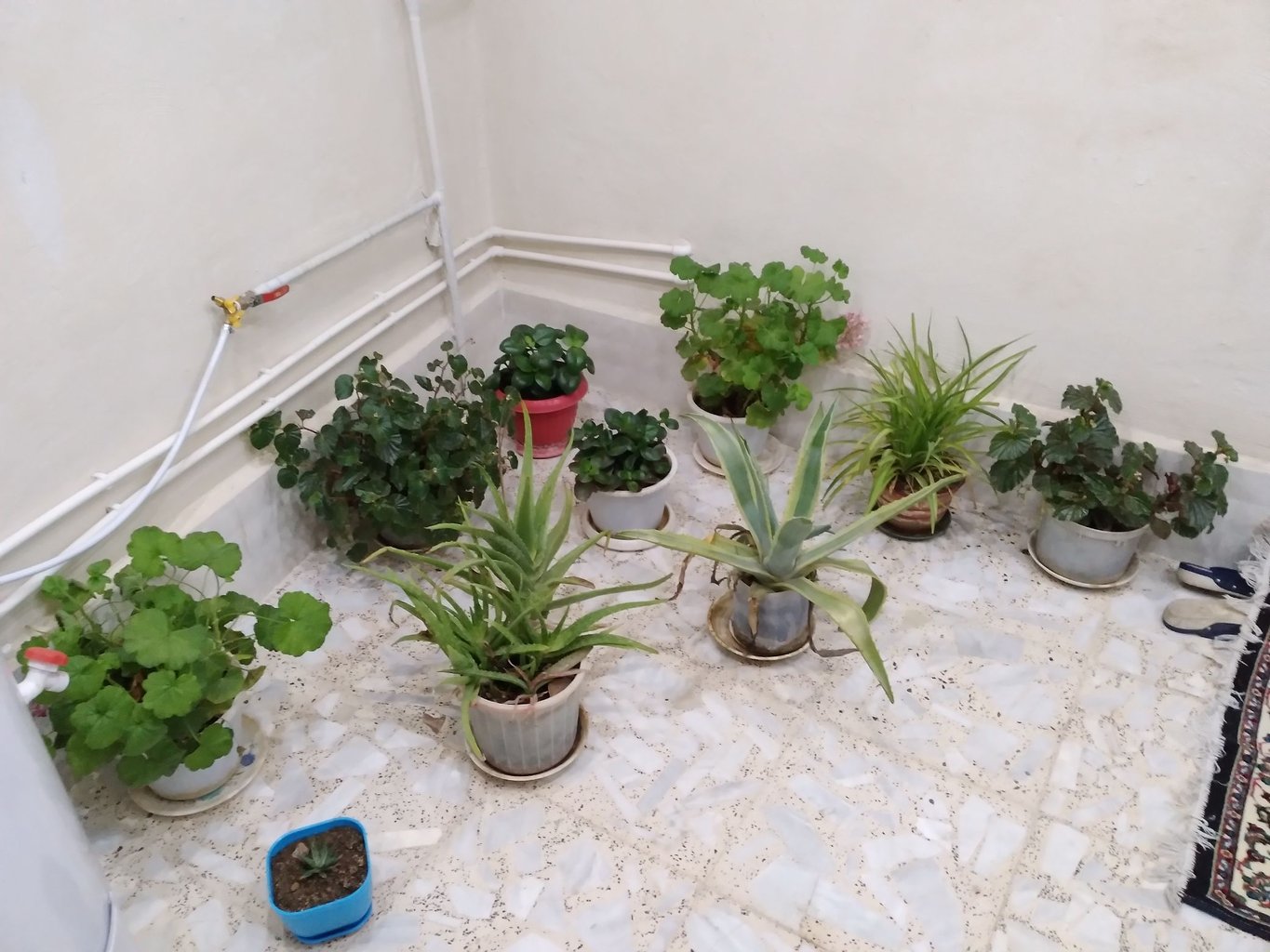 آپارتمان یک خوابه لزور