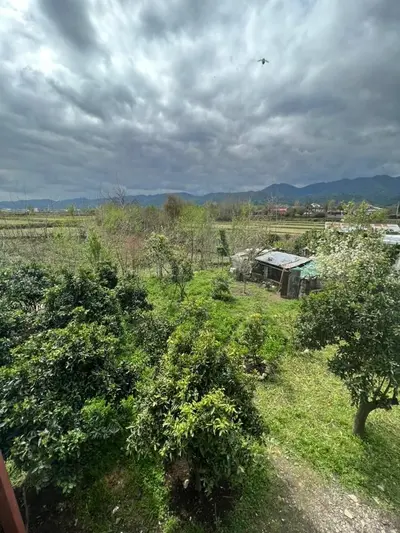 ویلا دوخوابه جنگلی ویسادار 1