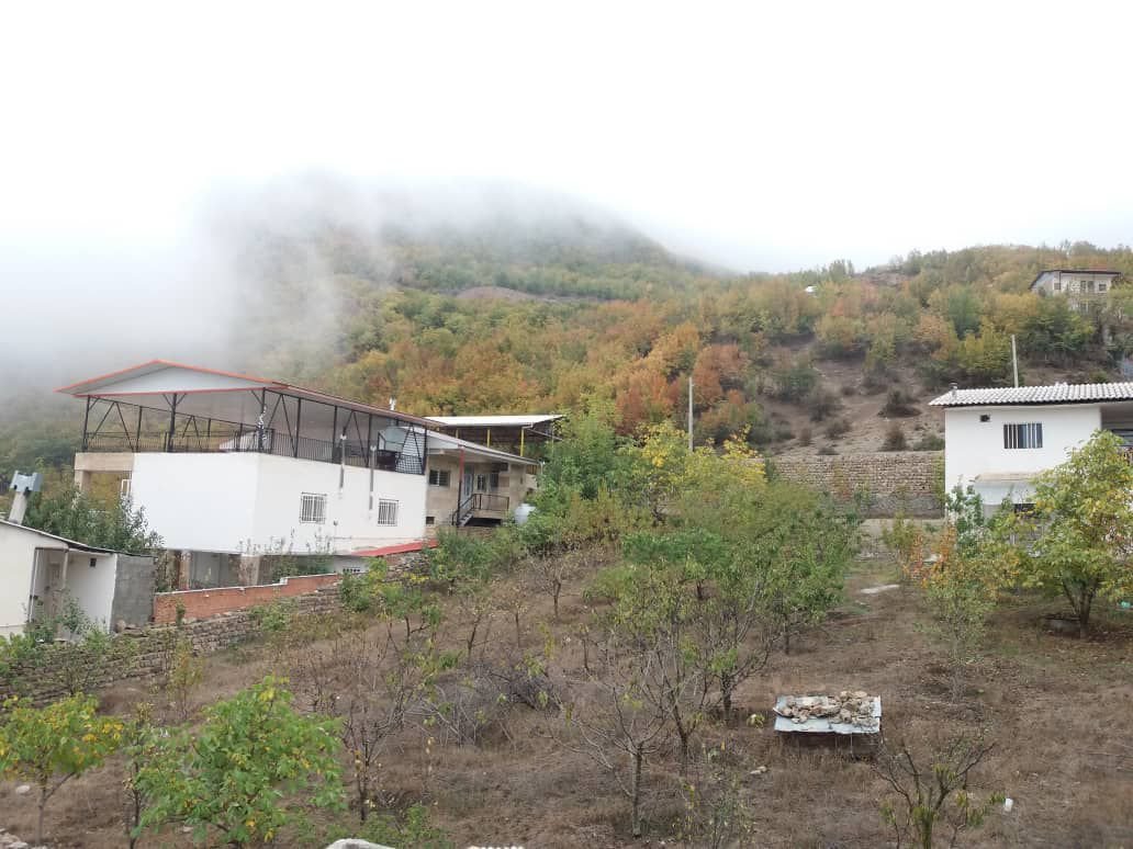 سوئیت یک خوابه سرای دوستان