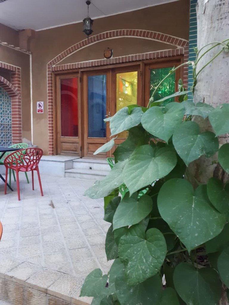 ماه سلطان دشتی - واحد دلنشین